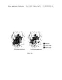 MULTISPECIFIC ANTIBODIES diagram and image