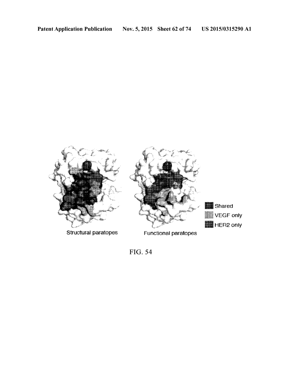 MULTISPECIFIC ANTIBODIES - diagram, schematic, and image 63