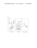 MULTIFUNCTIONAL COATING STRUCTURE AND METHOD FOR FORMING THE SAME diagram and image