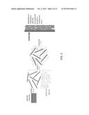 MULTI-FUNCTIONAL HIGH PERFORMANCE NANOCOATINGS FROM A FACILE CO-ASSEMBLY     PROCESS diagram and image