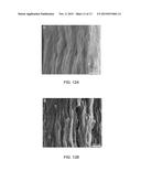 MULTI-FUNCTIONAL HIGH PERFORMANCE NANOCOATINGS FROM A FACILE CO-ASSEMBLY     PROCESS diagram and image