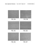 FILM-FORMING HYDROPHILIC POLYMERS FOR TRANSFIX PRINTING PROCESS diagram and image