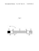 MODIFIED POLYNUCLEOTIDES FOR ALTERING CELL PHENOTYPE diagram and image