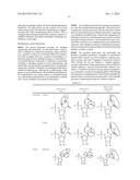 MODIFIED POLYNUCLEOTIDES FOR ALTERING CELL PHENOTYPE diagram and image