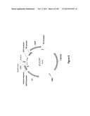 MEGANUCLEASE VARIANTS CLEAVING THE GENOME OF A PATHOGENIC NON-INTEGRATING     VIRUS AND USES THEREOF diagram and image