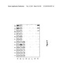 MEGANUCLEASE VARIANTS CLEAVING THE GENOME OF A PATHOGENIC NON-INTEGRATING     VIRUS AND USES THEREOF diagram and image