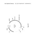 MEGANUCLEASE VARIANTS CLEAVING THE GENOME OF A PATHOGENIC NON-INTEGRATING     VIRUS AND USES THEREOF diagram and image