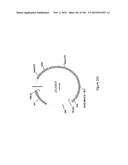 MEGANUCLEASE VARIANTS CLEAVING THE GENOME OF A PATHOGENIC NON-INTEGRATING     VIRUS AND USES THEREOF diagram and image