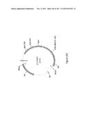 MEGANUCLEASE VARIANTS CLEAVING THE GENOME OF A PATHOGENIC NON-INTEGRATING     VIRUS AND USES THEREOF diagram and image