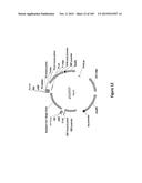 MEGANUCLEASE VARIANTS CLEAVING THE GENOME OF A PATHOGENIC NON-INTEGRATING     VIRUS AND USES THEREOF diagram and image