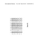 MEGANUCLEASE VARIANTS CLEAVING THE GENOME OF A PATHOGENIC NON-INTEGRATING     VIRUS AND USES THEREOF diagram and image