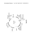 MEGANUCLEASE VARIANTS CLEAVING THE GENOME OF A PATHOGENIC NON-INTEGRATING     VIRUS AND USES THEREOF diagram and image