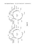 MEGANUCLEASE VARIANTS CLEAVING THE GENOME OF A PATHOGENIC NON-INTEGRATING     VIRUS AND USES THEREOF diagram and image