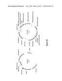 MEGANUCLEASE VARIANTS CLEAVING THE GENOME OF A PATHOGENIC NON-INTEGRATING     VIRUS AND USES THEREOF diagram and image