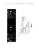 MEGANUCLEASE VARIANTS CLEAVING THE GENOME OF A PATHOGENIC NON-INTEGRATING     VIRUS AND USES THEREOF diagram and image