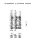 MEGANUCLEASE VARIANTS CLEAVING THE GENOME OF A PATHOGENIC NON-INTEGRATING     VIRUS AND USES THEREOF diagram and image