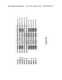 MEGANUCLEASE VARIANTS CLEAVING THE GENOME OF A PATHOGENIC NON-INTEGRATING     VIRUS AND USES THEREOF diagram and image