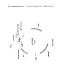 MEGANUCLEASE VARIANTS CLEAVING THE GENOME OF A PATHOGENIC NON-INTEGRATING     VIRUS AND USES THEREOF diagram and image