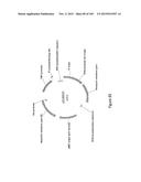 MEGANUCLEASE VARIANTS CLEAVING THE GENOME OF A PATHOGENIC NON-INTEGRATING     VIRUS AND USES THEREOF diagram and image