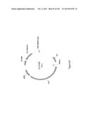 MEGANUCLEASE VARIANTS CLEAVING THE GENOME OF A PATHOGENIC NON-INTEGRATING     VIRUS AND USES THEREOF diagram and image