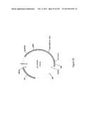 MEGANUCLEASE VARIANTS CLEAVING THE GENOME OF A PATHOGENIC NON-INTEGRATING     VIRUS AND USES THEREOF diagram and image