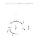 MEGANUCLEASE VARIANTS CLEAVING THE GENOME OF A PATHOGENIC NON-INTEGRATING     VIRUS AND USES THEREOF diagram and image