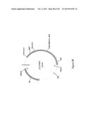 MEGANUCLEASE VARIANTS CLEAVING THE GENOME OF A PATHOGENIC NON-INTEGRATING     VIRUS AND USES THEREOF diagram and image