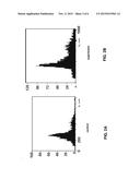 METHOD FOR ACTIVATION OF STEM CELL PROLIFERATION AND INCREASE OF STEM     CELLS RESISTENCE TO NEGATIVE IMPACTS diagram and image