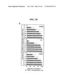 RNA PREPARATIONS COMPRISING PURIFIED MODIFIED RNA FOR REPROGRAMMING CELLS diagram and image