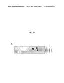 RNA PREPARATIONS COMPRISING PURIFIED MODIFIED RNA FOR REPROGRAMMING CELLS diagram and image