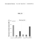 RNA PREPARATIONS COMPRISING PURIFIED MODIFIED RNA FOR REPROGRAMMING CELLS diagram and image