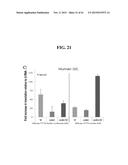 RNA PREPARATIONS COMPRISING PURIFIED MODIFIED RNA FOR REPROGRAMMING CELLS diagram and image