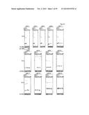 IDENTIFICATION OF NOVEL GENES CODING FOR SMALL TEMPORAL RNAS diagram and image