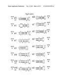 IDENTIFICATION OF NOVEL GENES CODING FOR SMALL TEMPORAL RNAS diagram and image