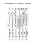 IDENTIFICATION OF NOVEL GENES CODING FOR SMALL TEMPORAL RNAS diagram and image