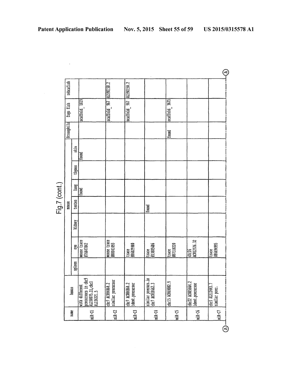 IDENTIFICATION OF NOVEL GENES CODING FOR SMALL TEMPORAL RNAS - diagram, schematic, and image 56