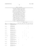 IDENTIFICATION OF NOVEL GENES CODING FOR SMALL TEMPORAL RNAS diagram and image