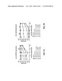 METHODS OF DELIVERING MULTIPLE TARGETING OLIGONUCLEOTIDES TO A CELL USING     NON-NUCLEOTIDE BASED CLEAVABLE LINKERS diagram and image