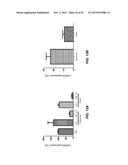 METHODS OF DELIVERING MULTIPLE TARGETING OLIGONUCLEOTIDES TO A CELL USING     NON-NUCLEOTIDE BASED CLEAVABLE LINKERS diagram and image