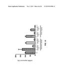 METHODS OF DELIVERING MULTIPLE TARGETING OLIGONUCLEOTIDES TO A CELL USING     NON-NUCLEOTIDE BASED CLEAVABLE LINKERS diagram and image