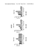 METHODS OF DELIVERING MULTIPLE TARGETING OLIGONUCLEOTIDES TO A CELL USING     NON-NUCLEOTIDE BASED CLEAVABLE LINKERS diagram and image