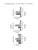 METHODS OF DELIVERING MULTIPLE TARGETING OLIGONUCLEOTIDES TO A CELL USING     NON-NUCLEOTIDE BASED CLEAVABLE LINKERS diagram and image