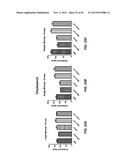 METHODS OF DELIVERING MULTIPLE TARGETING OLIGONUCLEOTIDES TO A CELL USING     NON-NUCLEOTIDE BASED CLEAVABLE LINKERS diagram and image