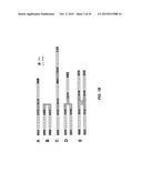 METHODS OF DELIVERING MULTIPLE TARGETING OLIGONUCLEOTIDES TO A CELL USING     CLEAVABLE LINKERS diagram and image