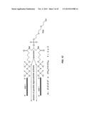 METHODS OF DELIVERING MULTIPLE TARGETING OLIGONUCLEOTIDES TO A CELL USING     CLEAVABLE LINKERS diagram and image