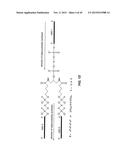 METHODS OF DELIVERING MULTIPLE TARGETING OLIGONUCLEOTIDES TO A CELL USING     CLEAVABLE LINKERS diagram and image