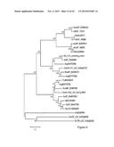 MUTATED NUCLEOTIDE MOLECULE, AND TRANSFORMED PLANT CELLS AND PLANTS     COMPRISING THE SAME diagram and image