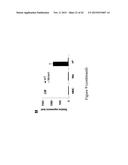 MUTATED NUCLEOTIDE MOLECULE, AND TRANSFORMED PLANT CELLS AND PLANTS     COMPRISING THE SAME diagram and image