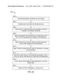 MICROFLUIDIC SYSTEM FOR AMPLIFYING AND DETECTING POLYNUCLEOTIDES IN     PARALLEL diagram and image