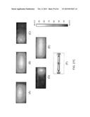 MICROFLUIDIC SYSTEM FOR AMPLIFYING AND DETECTING POLYNUCLEOTIDES IN     PARALLEL diagram and image